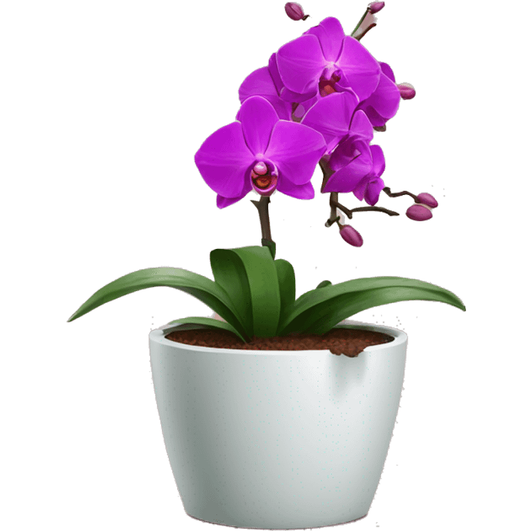 Orchid in a flowerpot emoji