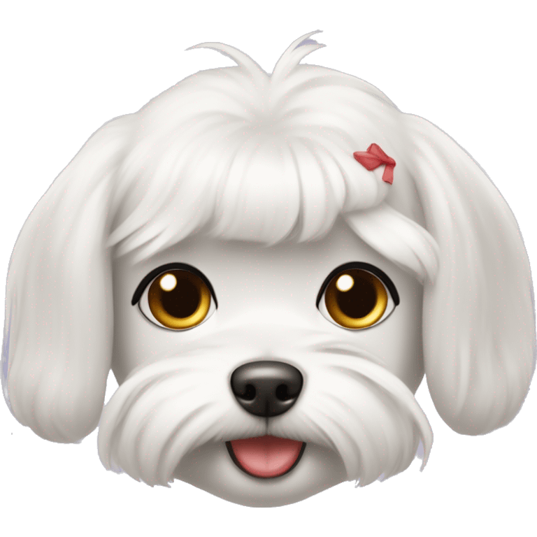 female maltese with red-ish pink nose and cute round haircut  emoji