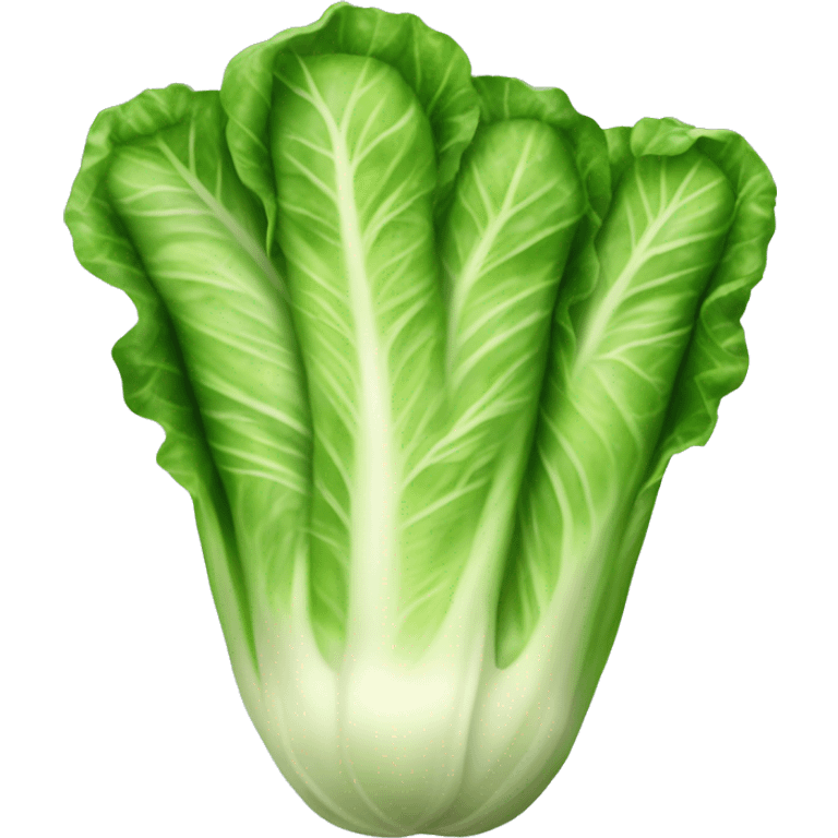 Romaine Lettuce emoji