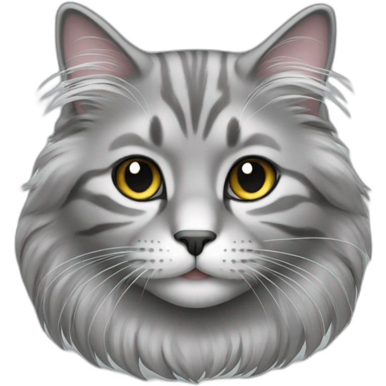 Gray, longhair cat emoji