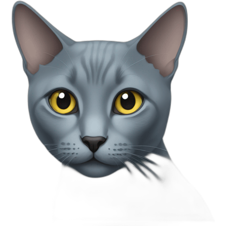 Russian blue cat emoji