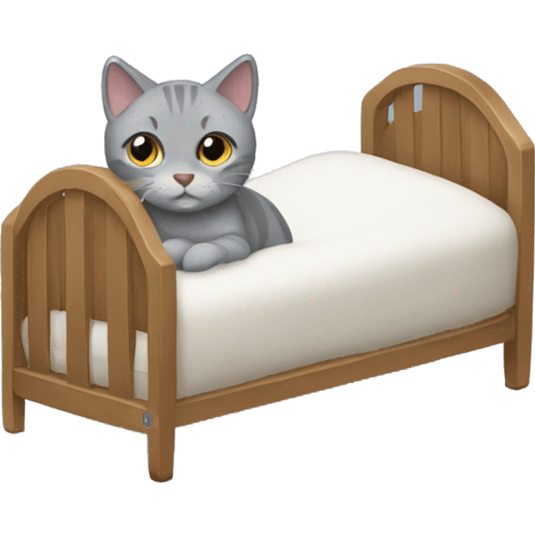 A gray cat in a cot emoji