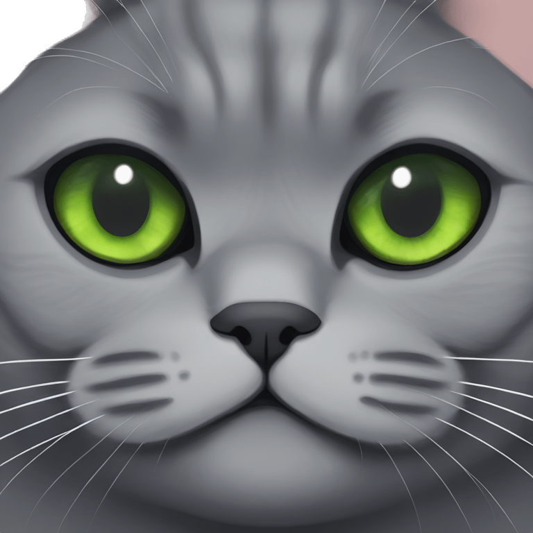 Dark grey British shorthair with green eyes grumpy emoji