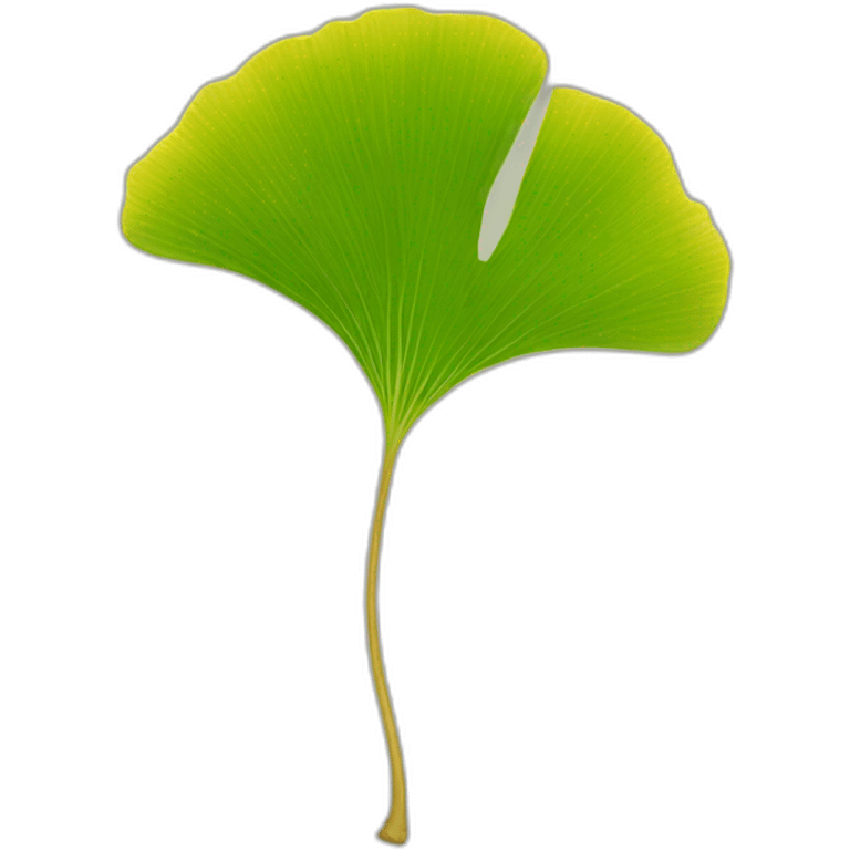 ginkgo emoji