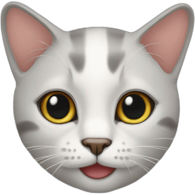 Béer cat emoji