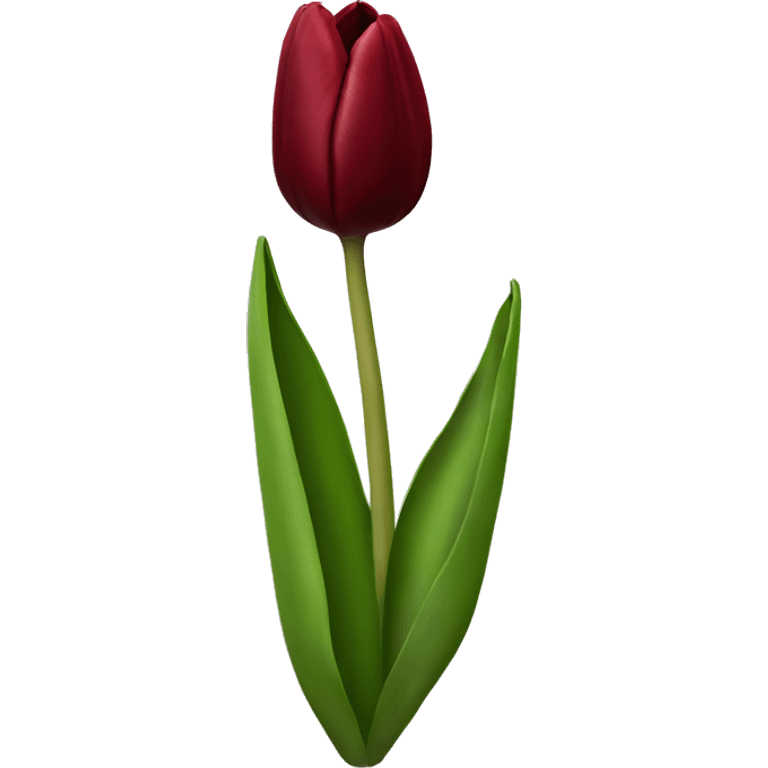 Dark red tulip emoji