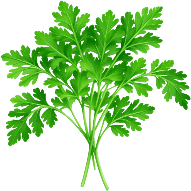 Cinematic Realistic Parsley Emoji, Fresh and vibrant, with bright green, frilly leaves that seem to shimmer with vitality. The plant exudes a sense of healthy growth and aromatic zest, inviting both beauty and flavor into any dish. Soft glowing outline, capturing the essence of freshness, health, and culinary delight in a sprig of parsley! emoji