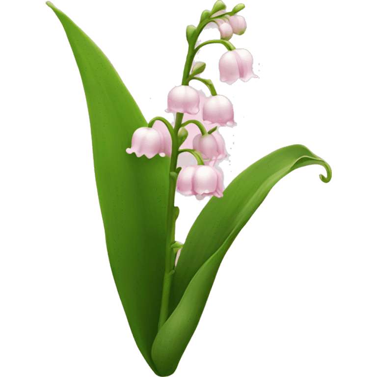 light pink lily of the valley  emoji