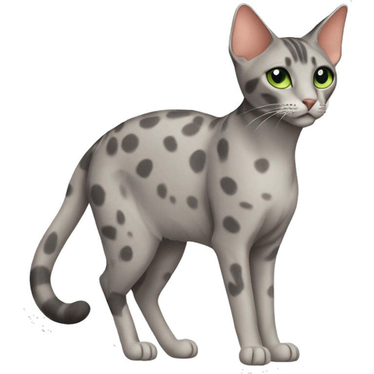 Short-haired oriental cat ,full body , grey coat with spots , green eyes , terracotta nuzzle emoji