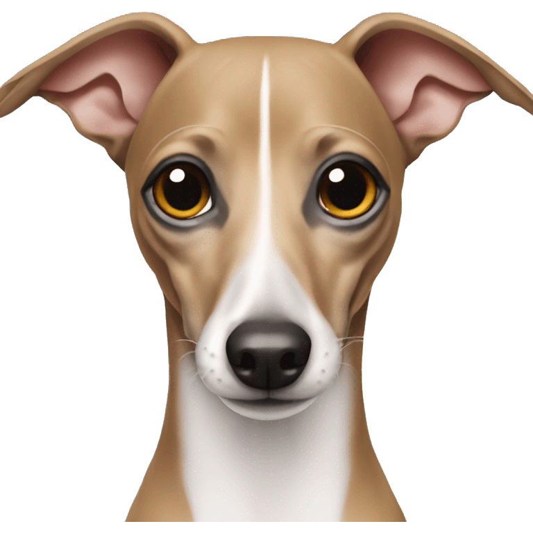 Italian greyhound emoji