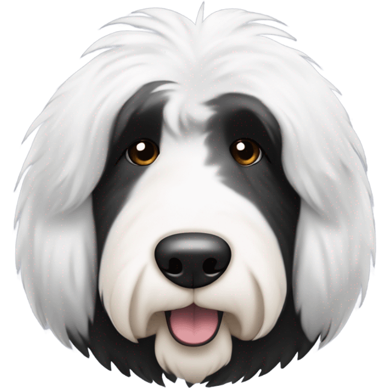 Old English sheepdog with a half and half face like a black and white cookie emoji