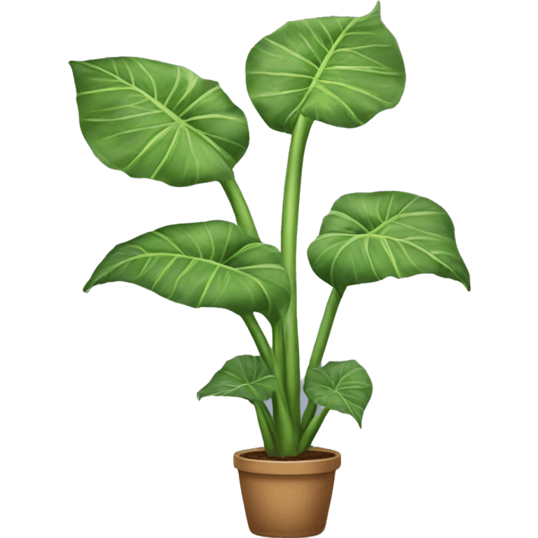 Alocasia plant emoji