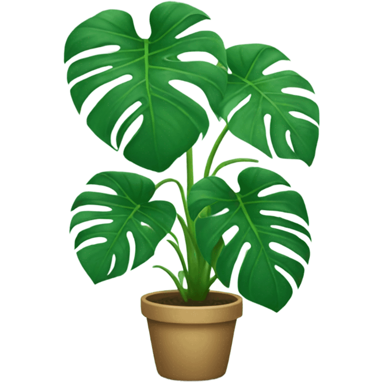 Monstera emoji