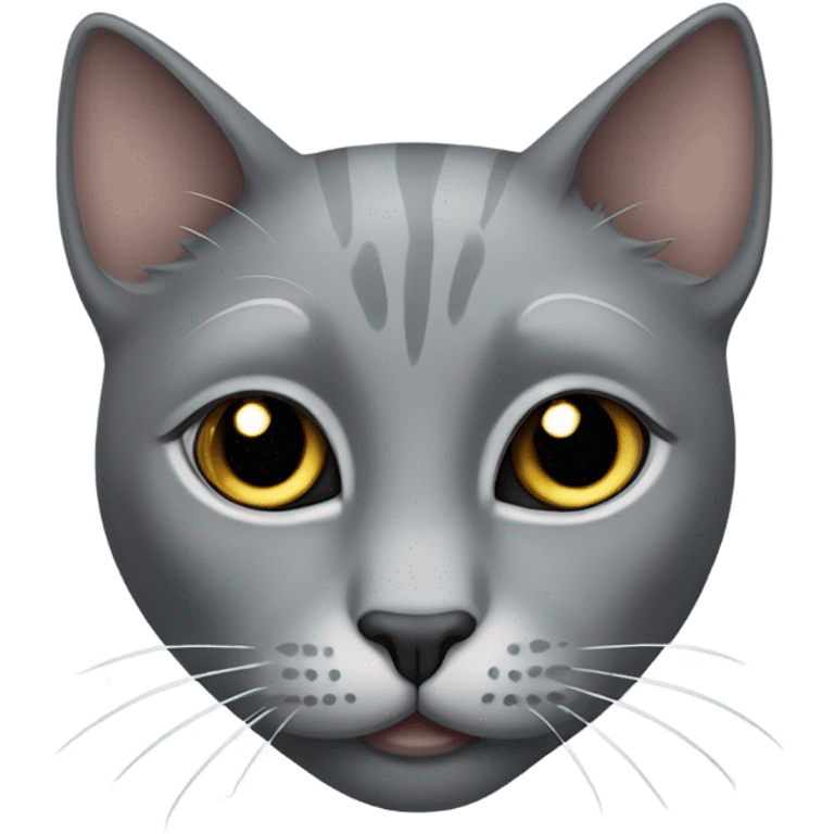 Gray cat with eyes on its forehead  emoji