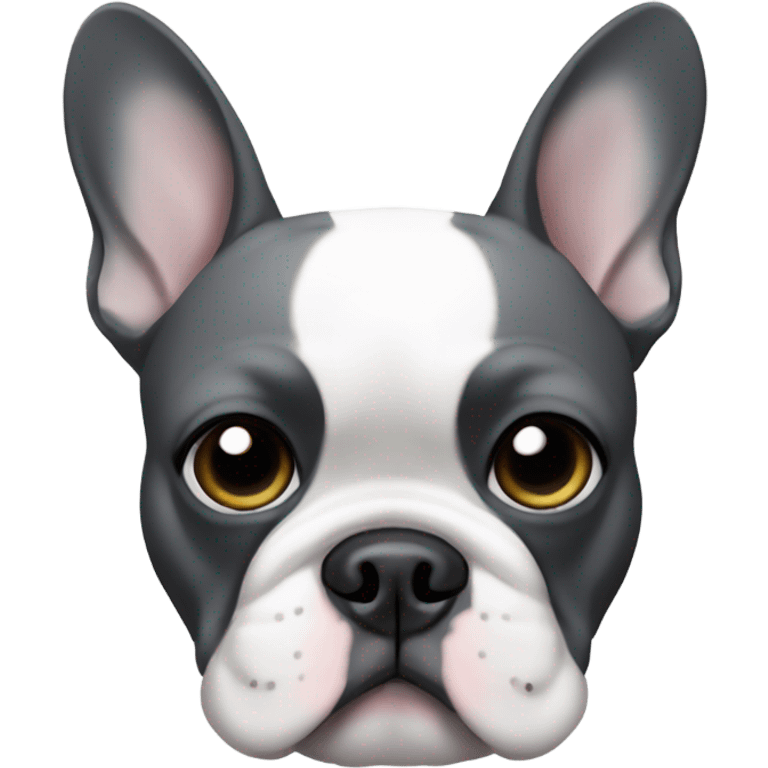 Dark grey and white French bulldog with left side of face grey and right side white but with a grey patch around right eye emoji