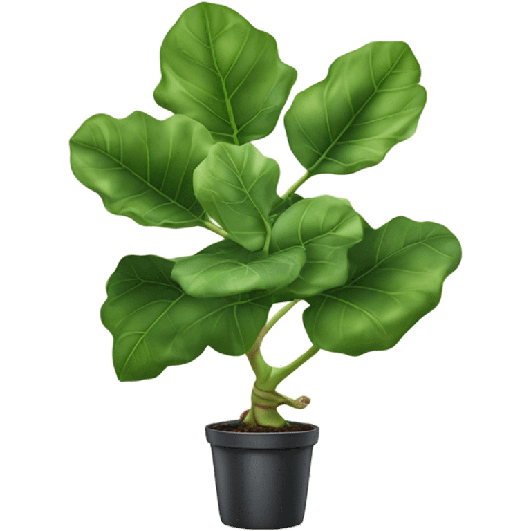 Fiddle leaf fig dancing emoji