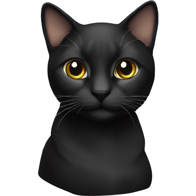 cat black emoji