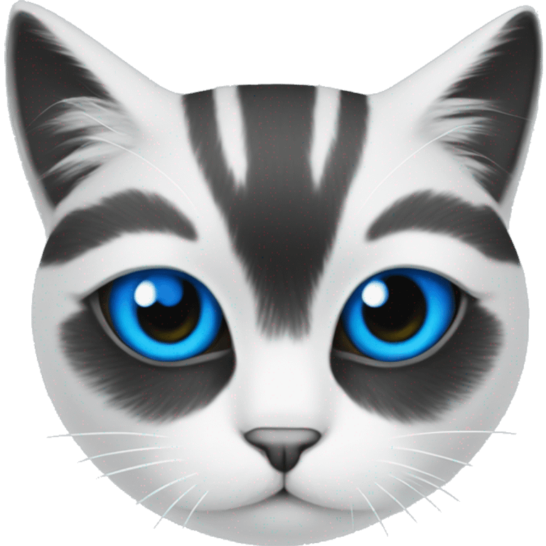 White cat black patch on eye with blue jersey on emoji