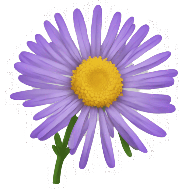 aster flower emoji