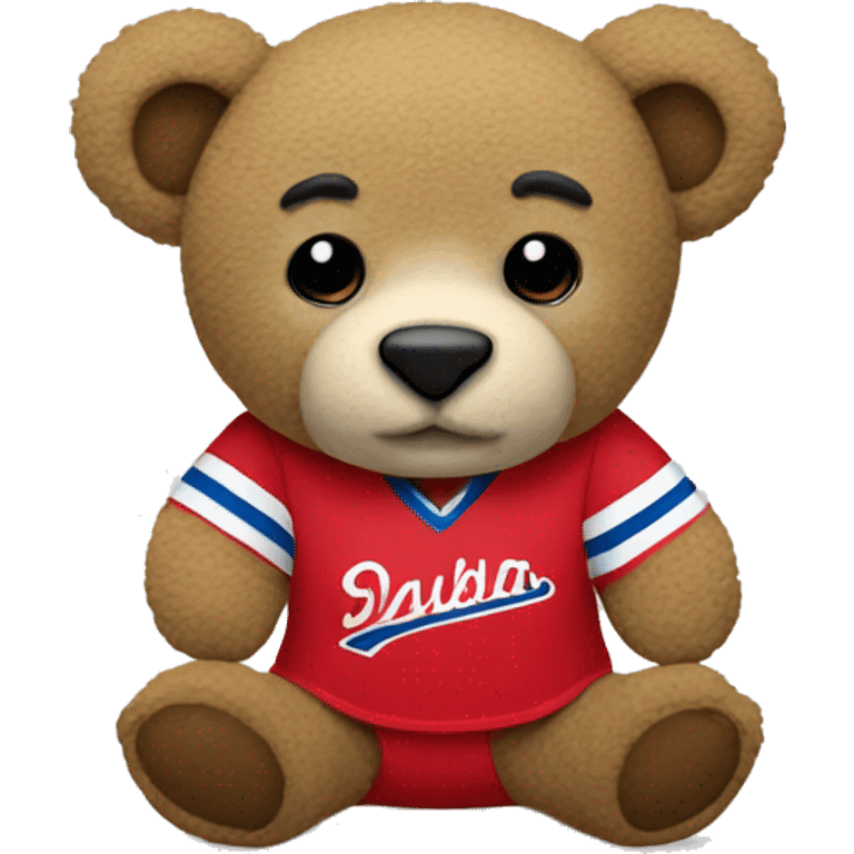 Osito de peluche con jersey  emoji