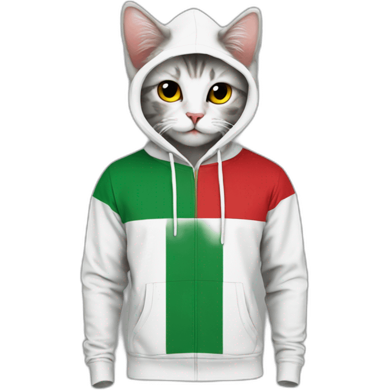 cat in Palestinian's flag's colors hoodie emoji