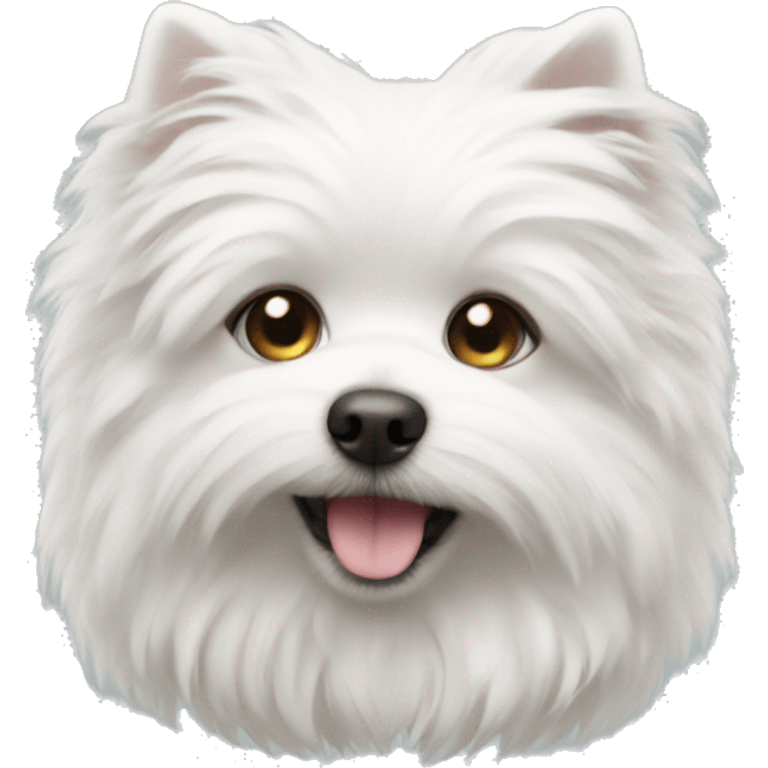 Fluffy white small dog  emoji