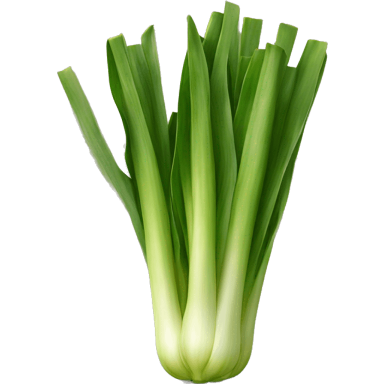 leek emoji