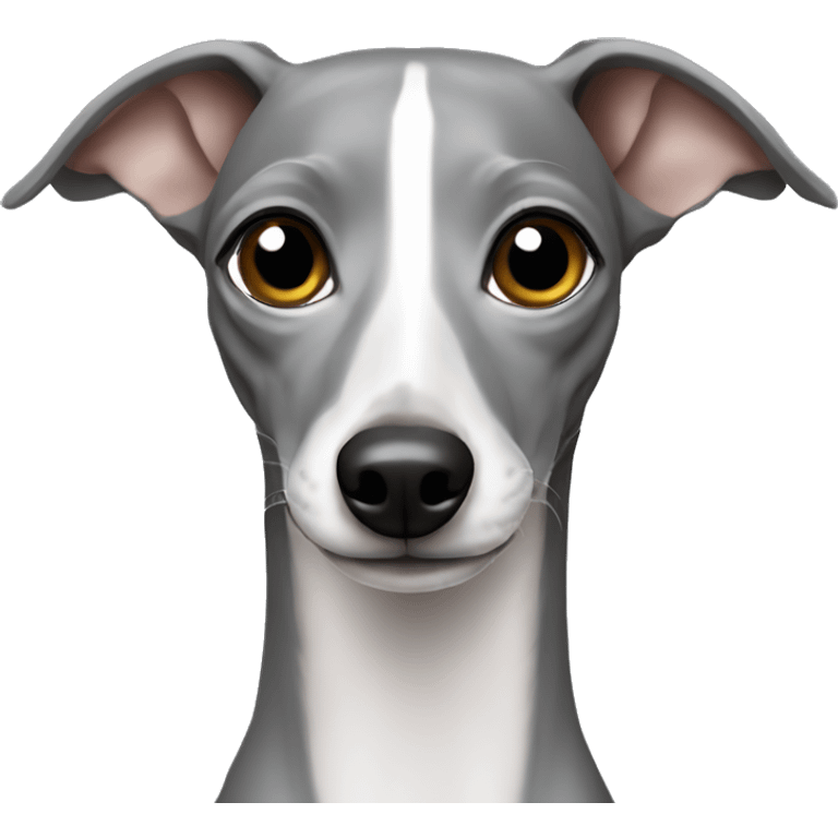 Italian greyhound grey emoji