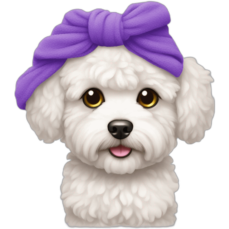 White maltipoo with purple towel emoji