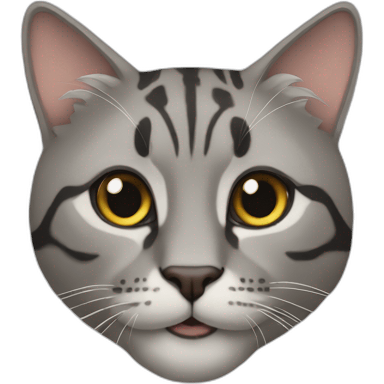 biggest-cat-warren emoji