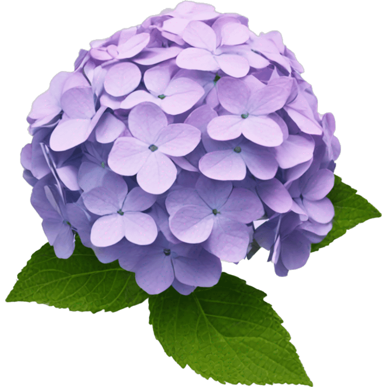 hydrangea emoji