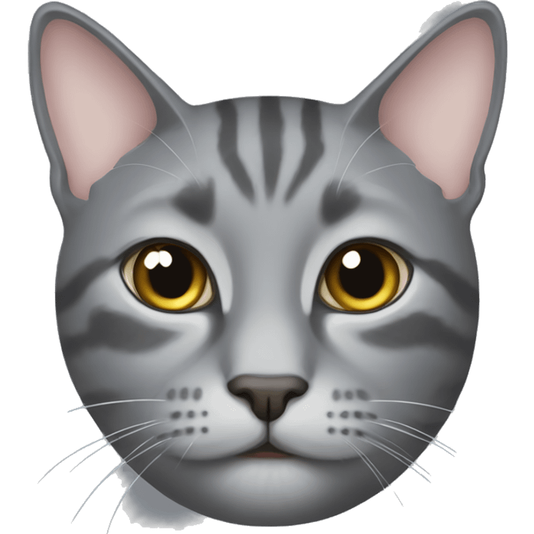 gray cat emoji