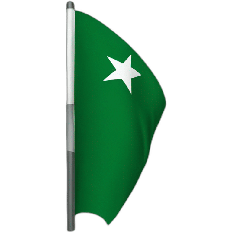 Pakistani flag emoji