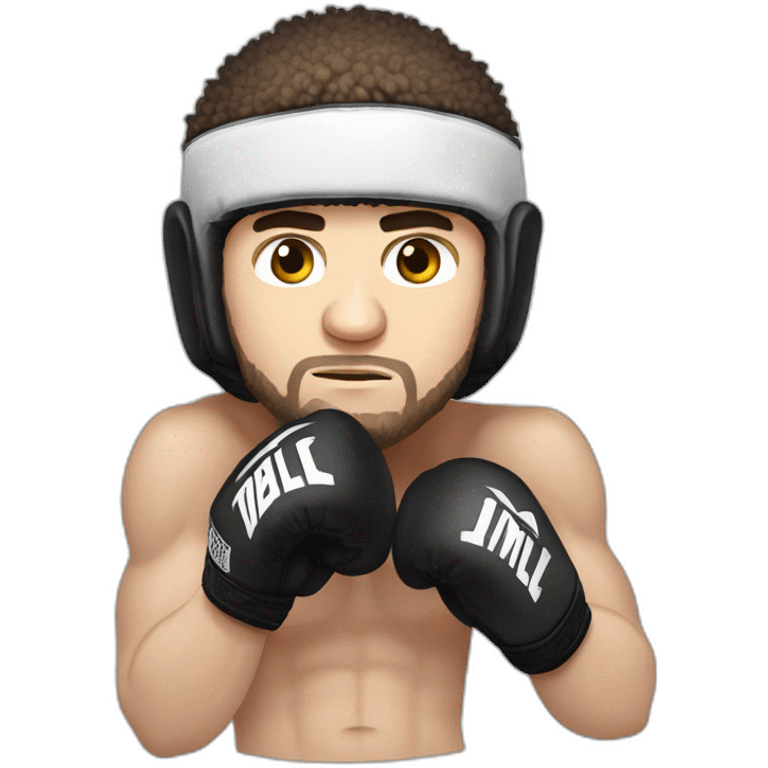 khabib nurmagomedov boxing  emoji