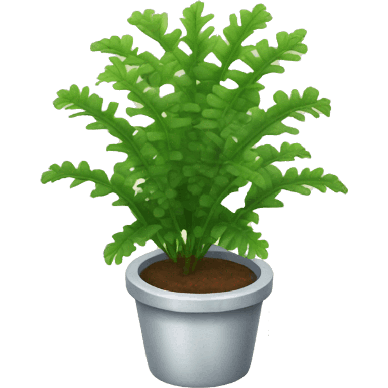 asplenium plant emoji