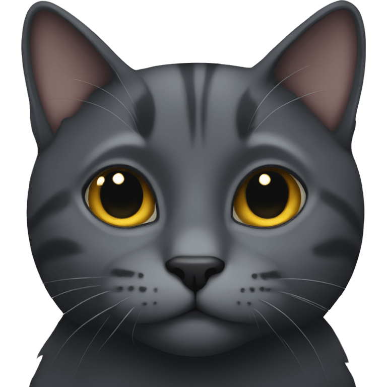 dark grey cat  emoji