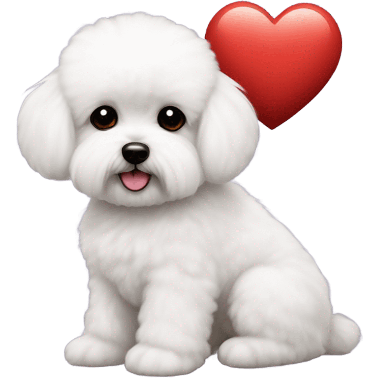 Maltese Bichon with a red heart emoji