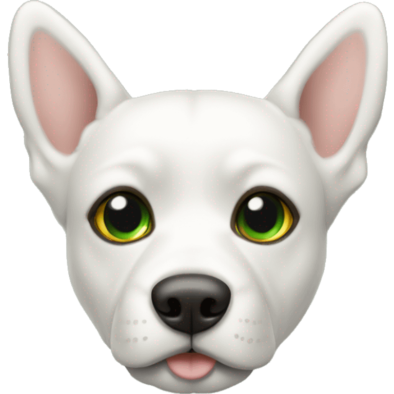 Perro blanco con orejas color galleta y ojos verdes emoji