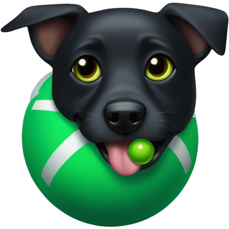 Black dog with green ball in its mouth emoji