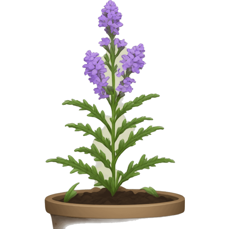 vervain plant emoji