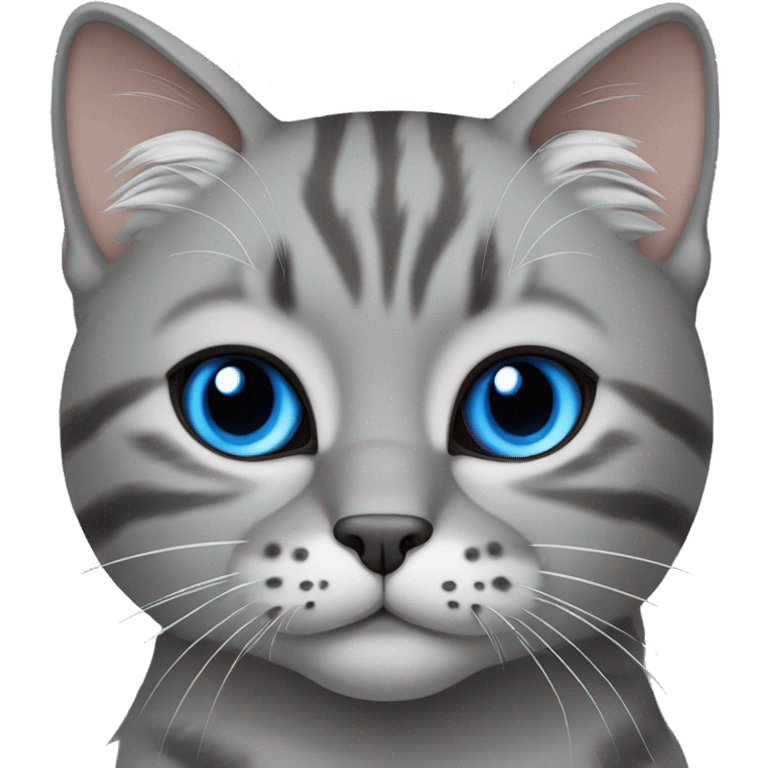 grey Highlander cat with blue eyes emoji