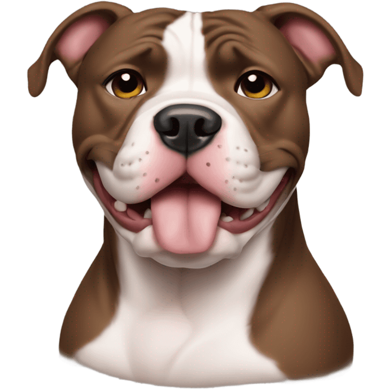 A pitbull saying sorry emoji