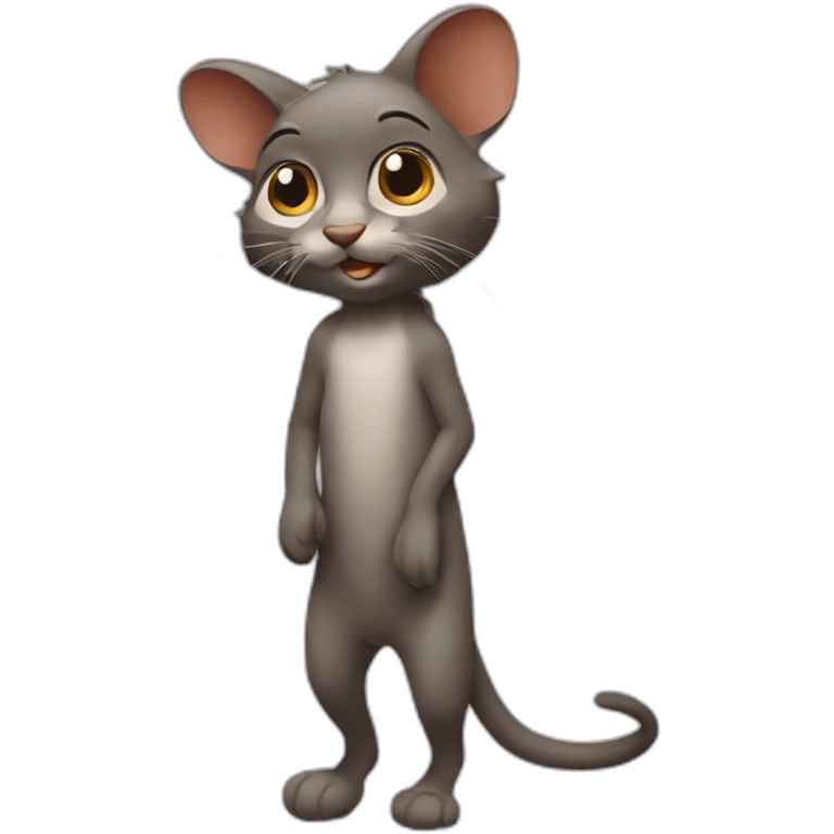 Chat qui fait câlin a un raton-laveur emoji