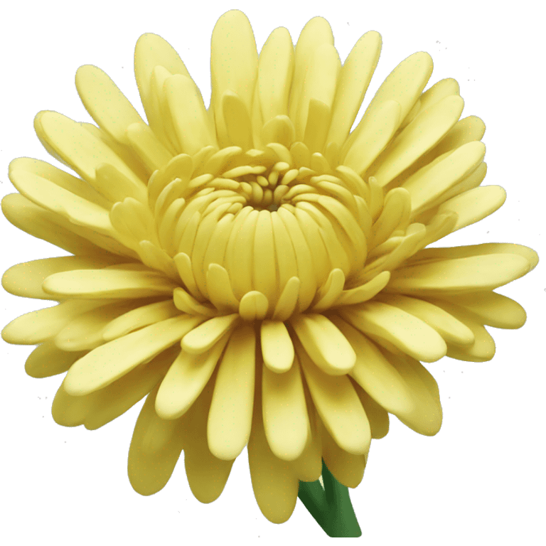 Chrysanthemum  emoji