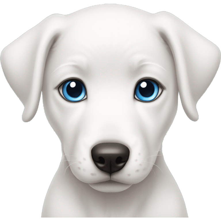 white puppy blue eyes emoji