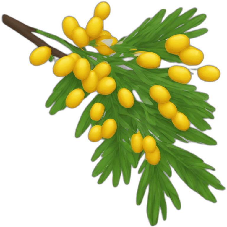 mimosa emoji