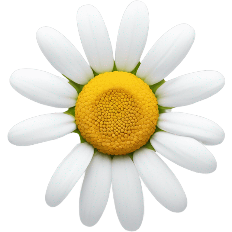 Daisy emoji