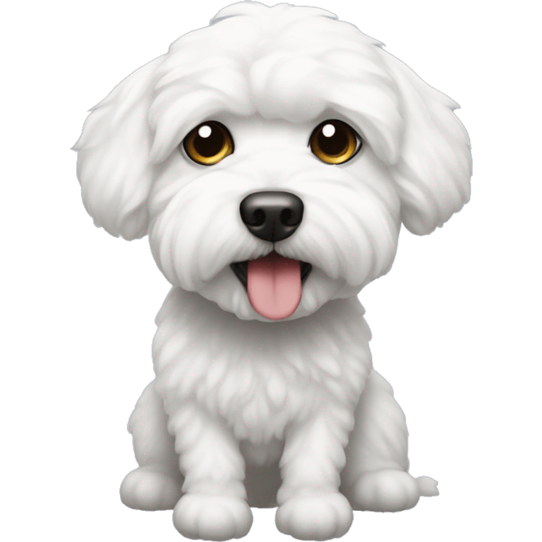 Bichon maltés  emoji