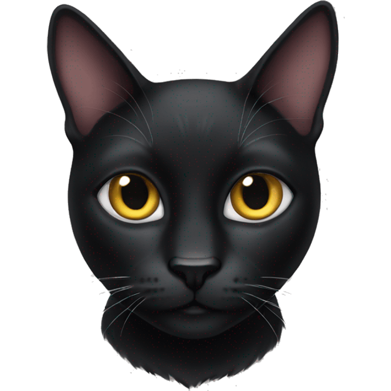 Black cat emoji