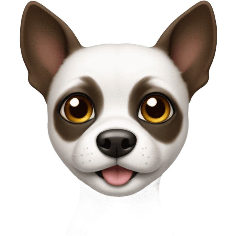 Small dog’s face with white muzzle, dark fur around eyes, black nose, and a curious, sweet expression. emoji